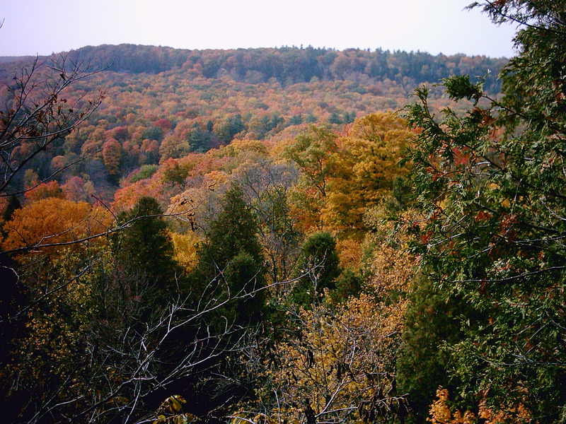 Niagara Escarpment